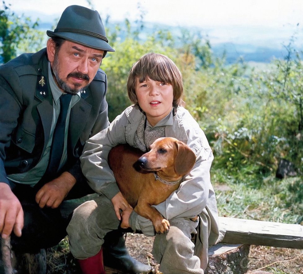 Vašek a jeho děda k sobě hledají cestu uprostřed šumavské přírody i za pomoci jezevčíka Broka.