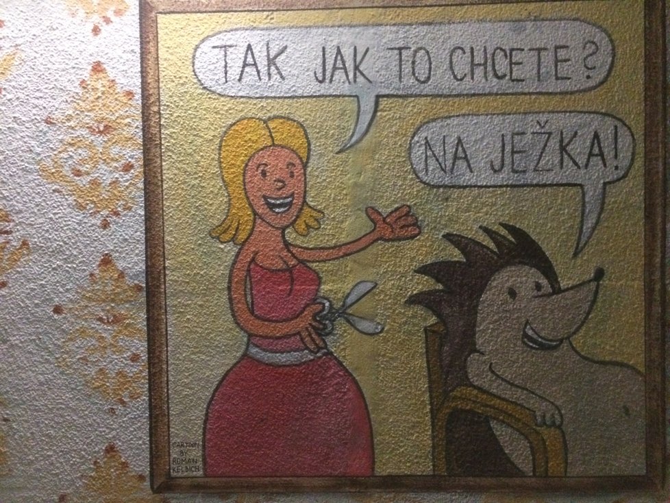 Doménou Romana Kelbicha je humoristická tvorba a karikatury.