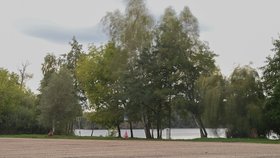 Začátek podzimu na jezeře Poděbrady nedaleko Olomouce