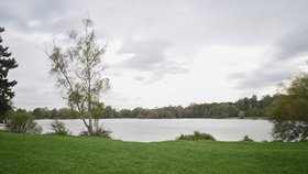 Začátek podzimu na jezeře Poděbrady nedaleko Olomouce