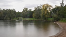 Začátek podzimu na jezeře Poděbrady nedaleko Olomouce