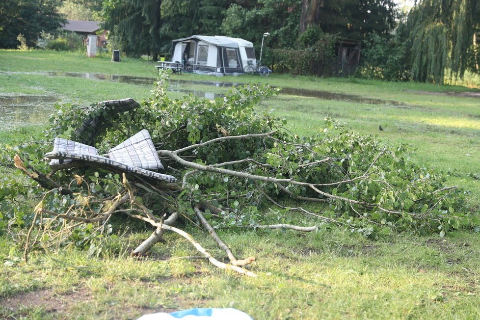 V kempu spadl na ženu strom a vážně ji zranil.