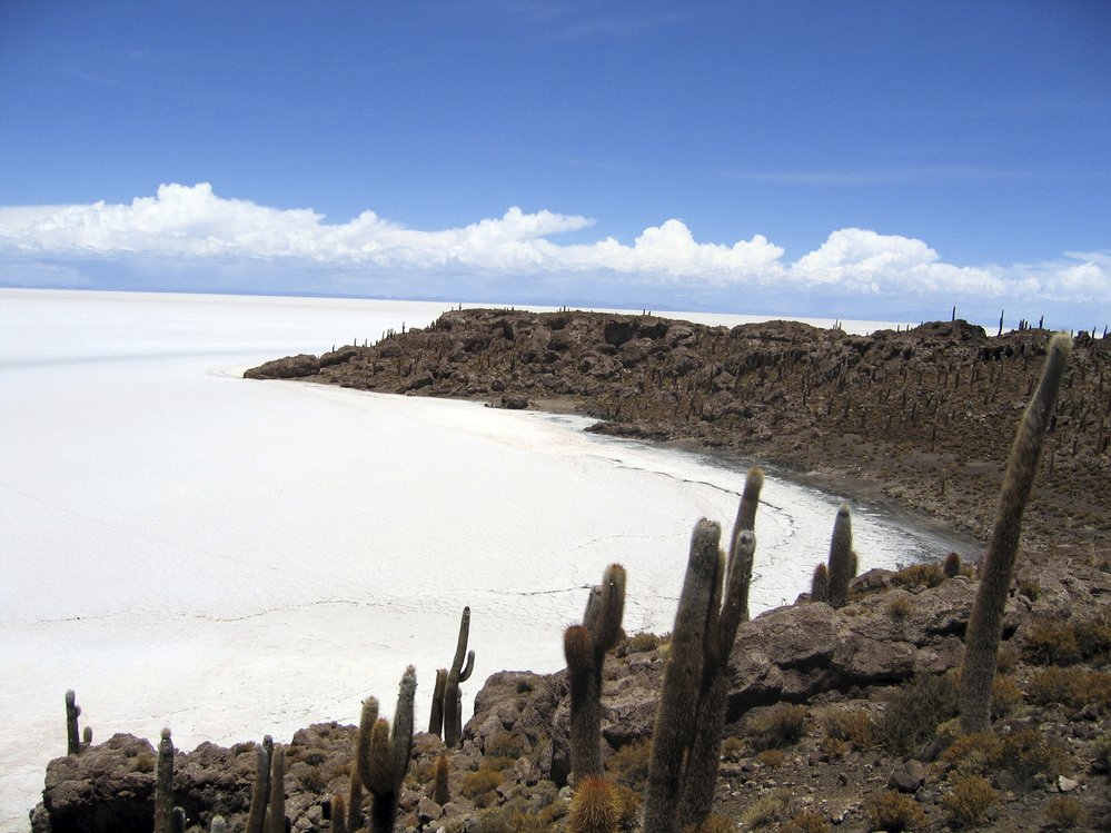 Ostrov Isla Incahuasi v solné pláni Salar de Uyuni