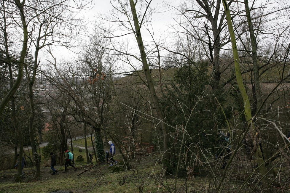 Jedličkův ústav byl kdysi propojen s nynějším Ústavem pro péči o matku a dítě nenápadnou cestičkou, po které chodíval Rudolf Jedlička, zakladatel obou ústavů.