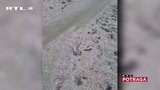 Češi se v Chorvatsku chovají jako prasata? Turisty trápí moře plné splašků!