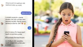 Ukázka komunikace přes Messenger, po níž došli lidé o tisíce korun.