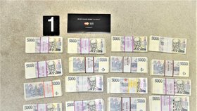 Ve spárech policistů a celníků skončil člověk, který si na podvodech přišel na 45 milionů korun.