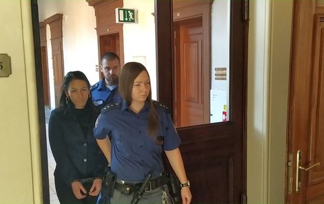 Těhotná recidivistka Anna Horváthová (26) podvedla během přerušení svého jiného trestu naivního starce a připravila jej o 11 tisícovek. Odvolací soud ji proto poslal zpět za mříže.