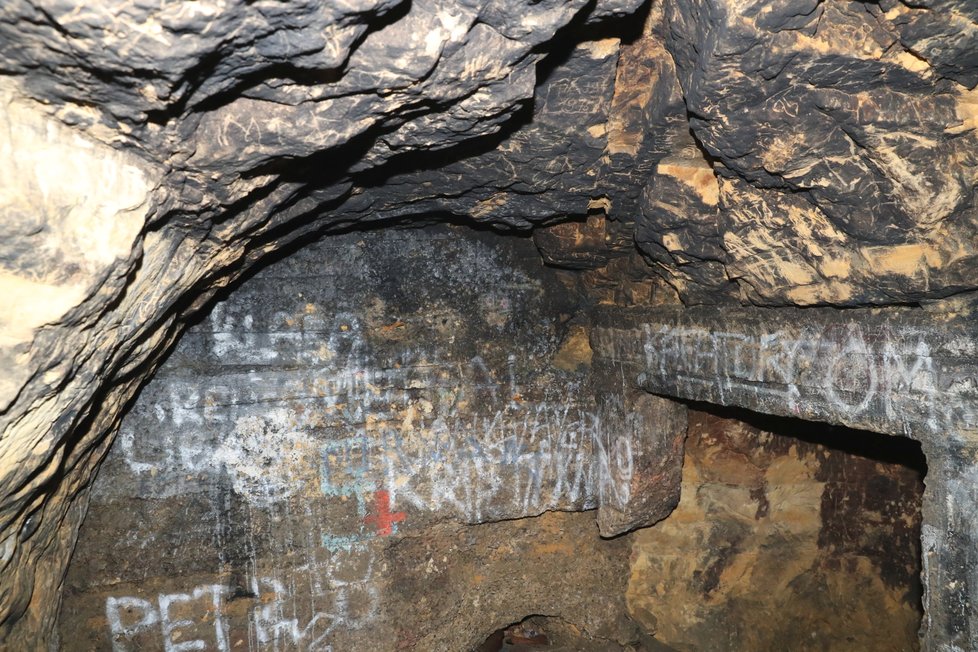 V různých štěrbinách a proláklinách občas nalézají svůj domov netopýři.