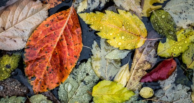 Páteční ráno přinese nízké teploty k -1 °C a mlhy. Během dne začne od západu přibývat oblačnost a přijdou přeháňky. Podívejte se na podrobnou předpověď ČHMÚ. Páteční ráno přinese nízké teploty k -1 °C a mlhy. Během dne začne od západu přibývat oblačnost a přijdou přeháňky. Podívejte se na podrobnou předpověď ČHMÚ.