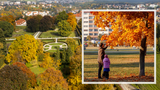 Klasický podzim v Česku možná zmizí, říká odborník. Bylo dřív listí barevnější?