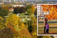 Klasický podzim v Česku možná zmizí, říká odborník. Bylo dřív listí barevnější?