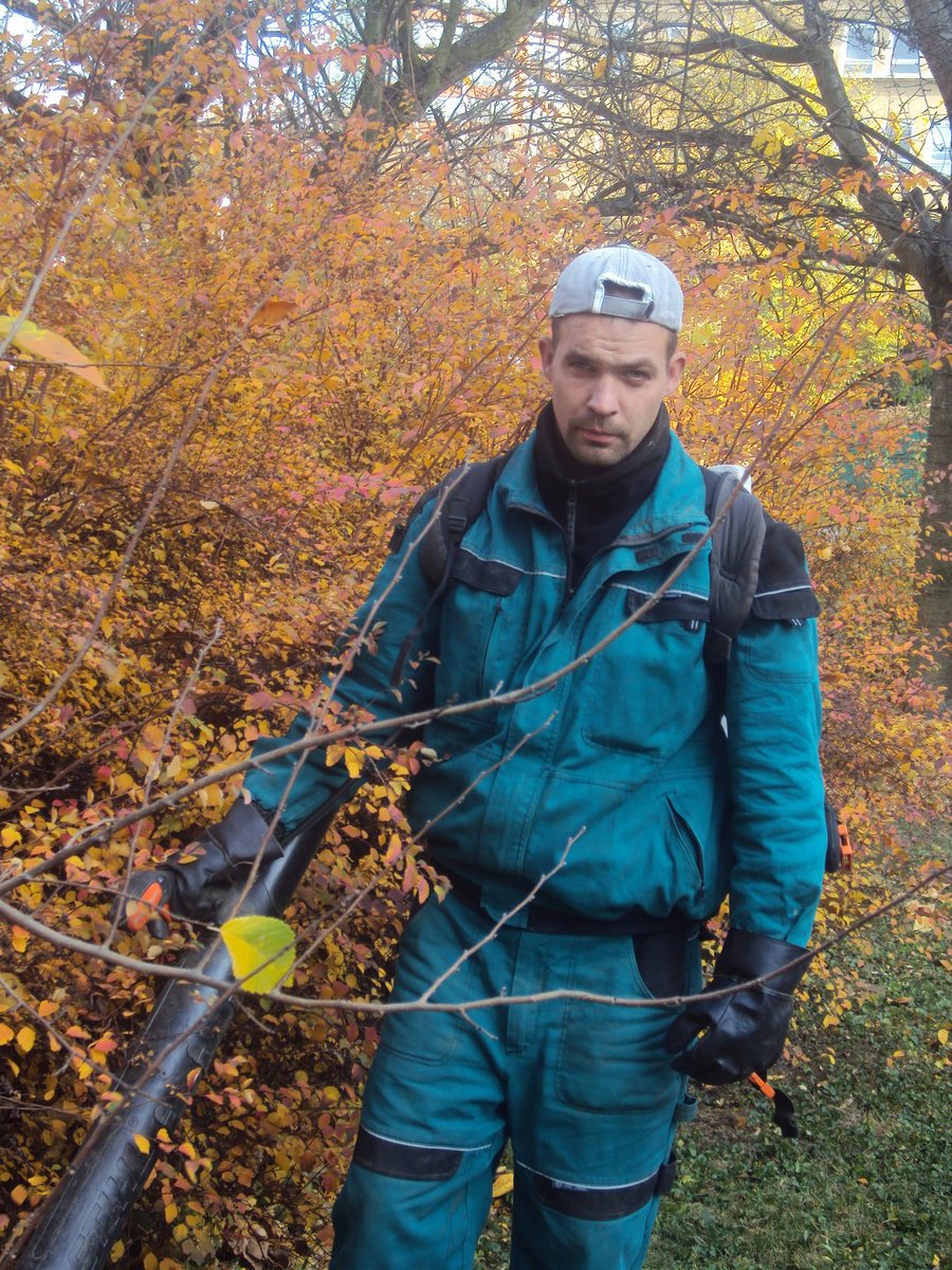 Marek se pere s listím denně od rána do večera.