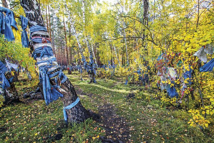 Posvátný les kolem Baragchanského pramene Posvátný les kolem Baragchanského pramene