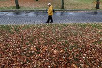 Vánoce na blátě: Déšť vystřídá sníh, na horách přituhlo. Sledujte radar Blesku