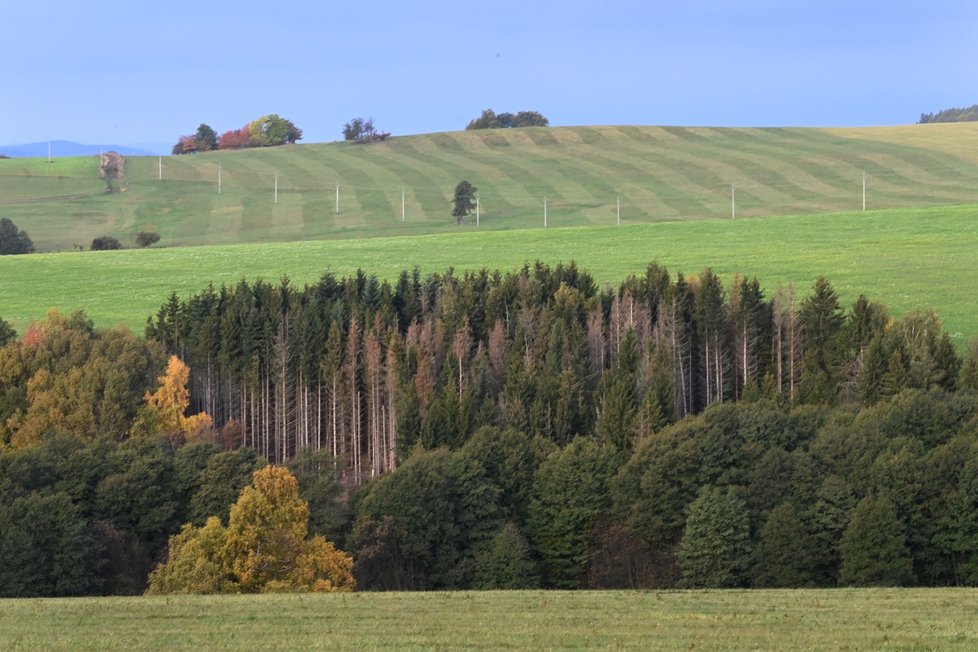 Podzimní počasí v Česku (25. 10. 2023)