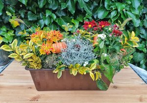 Podzimní dekorace do truhlíku
