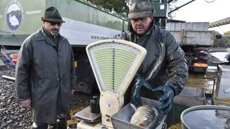 Vánoční kapr podraží. Třeboňští rybáři odhadují cenu na 120 korun za kilogram