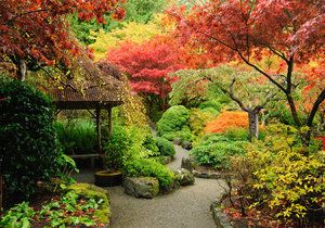 Podzim dokáže zahrady vybarvit lépe, než leckterý malíř.