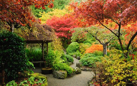 Podzim dokáže zahrady vybarvit lépe, než leckterý malíř.