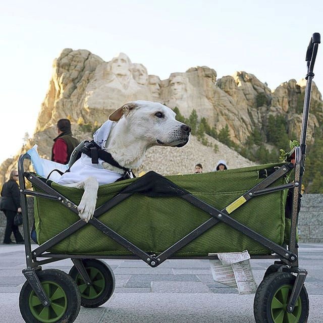 Poh u památníku Mount Rushmore