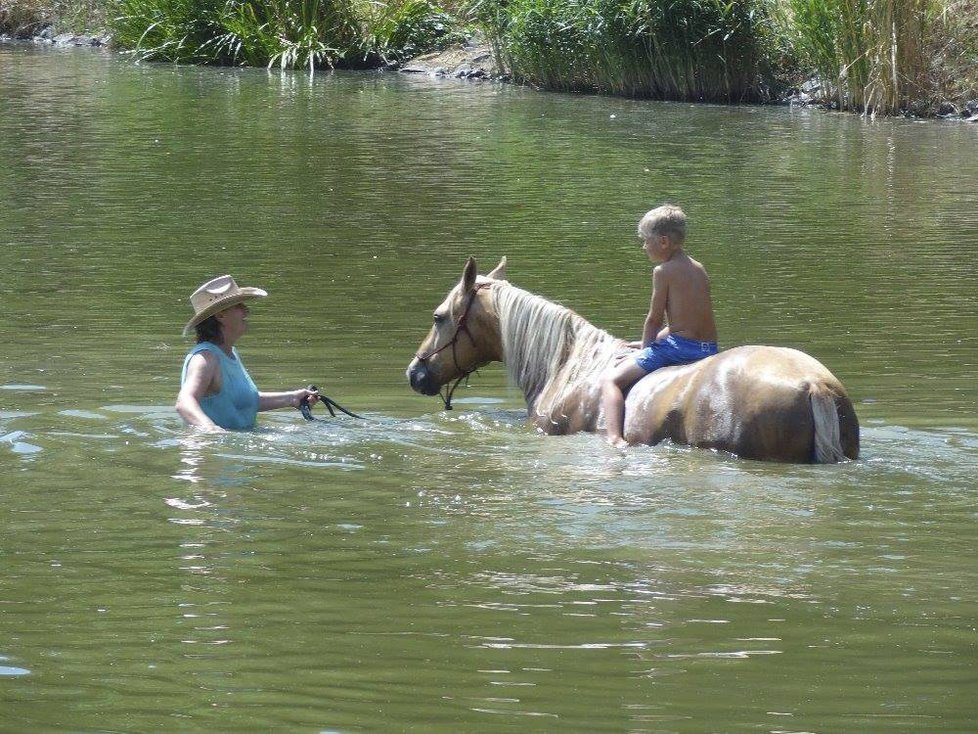 Zdeňka plaví koně se synem Martinem v sedle.