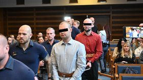 Krajský soud v Hradci Králové projednává případ brutální vraždy z Pohodlí na Svitavsku.