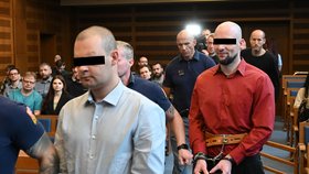 Krajský soud v Hradci Králové projednává případ brutální vraždy z Pohodlí na Svitavsku.