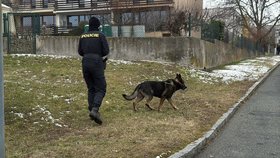 Útočník na hřbitově v Kutné Hoře pořezal během pohřbu dvě osoby. (21.2.2025)
