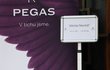 Pohřeb Václava Neckáře ml. Pohřeb Václava Neckáře ml.