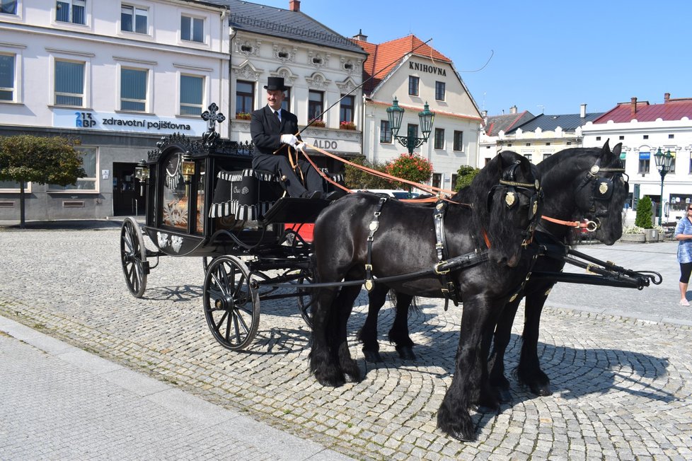 Ozdobou spřežení je vždy fríský kůň, nejstarší evropské plemeno.