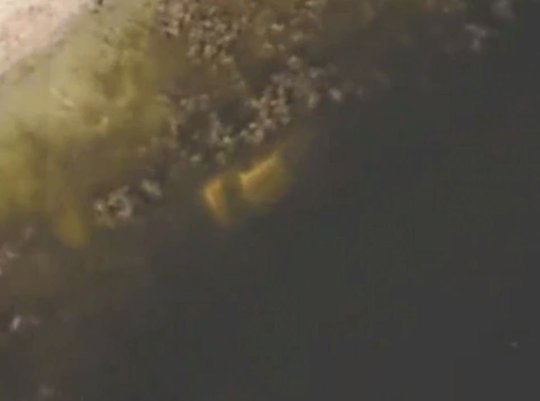Záběry z vesmíru pomohly najít pohřešovaného muže: Po 22 letech našli jeho kostru!