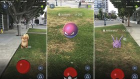 Pokémon GO – aplikace ke stažení pro Android a iOS