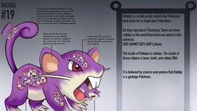 Anatomie pokémonů a účel jejich orgánů