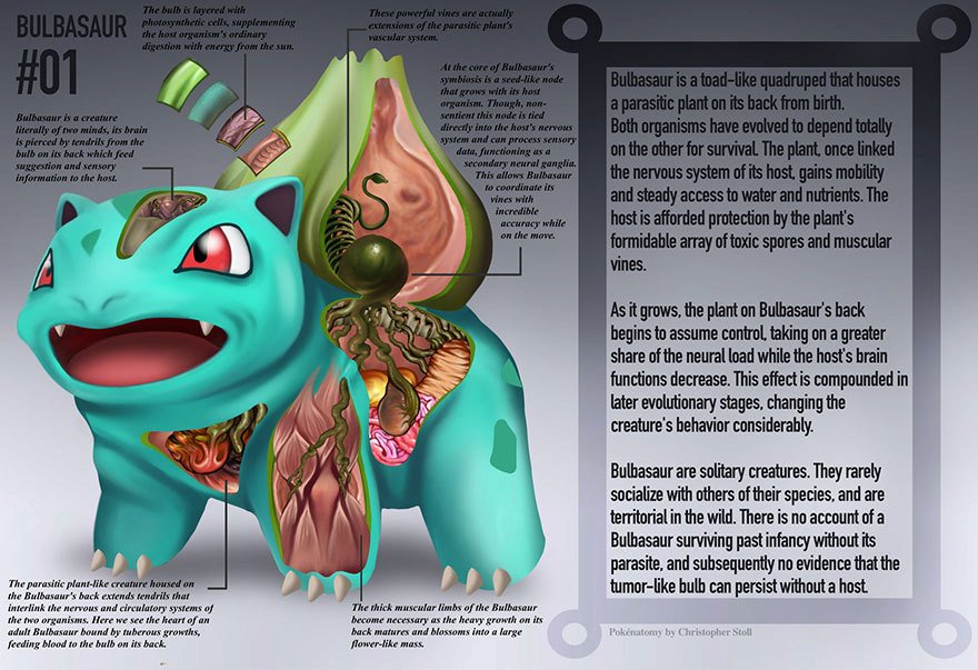 Anatomie Pokémonů a účel jejich orgánů