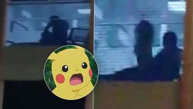 Pokésex! Hráč nachytal při hraní Pokémon Go pár při divoké souloži