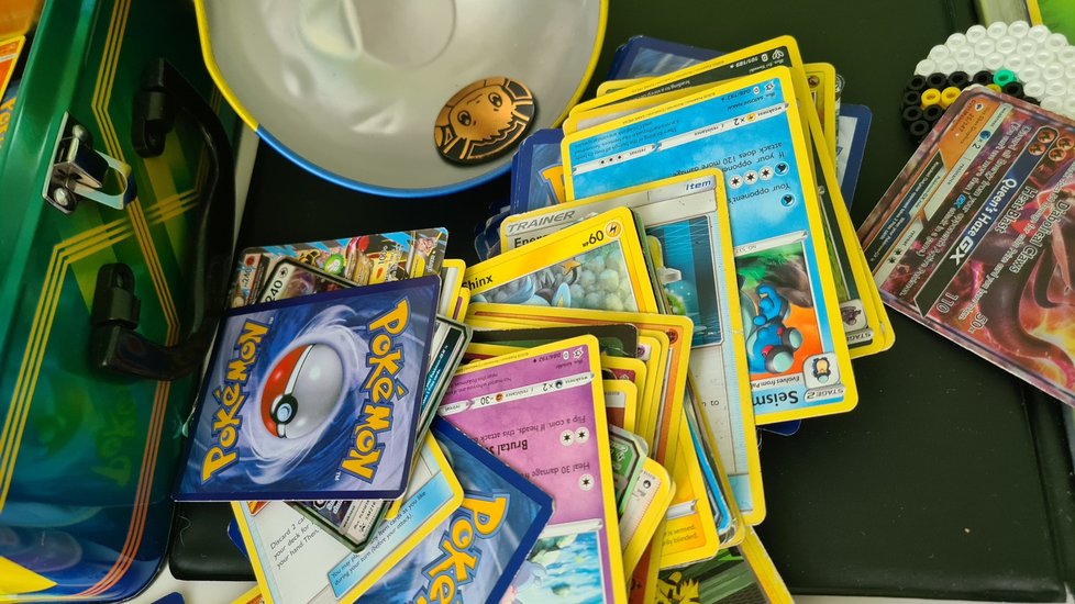 Osmiletý chlapec se kvůli záchraně psa vzdal své sbírky karet Pokémonů, veřejnost přispěla více než 23 tisíc dolarů