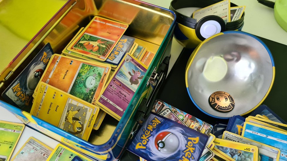 Osmiletý chlapec se kvůli záchraně psa vzdal své sbírky karet Pokémonů, veřejnost přispěla více než 23 tisíc dolarů