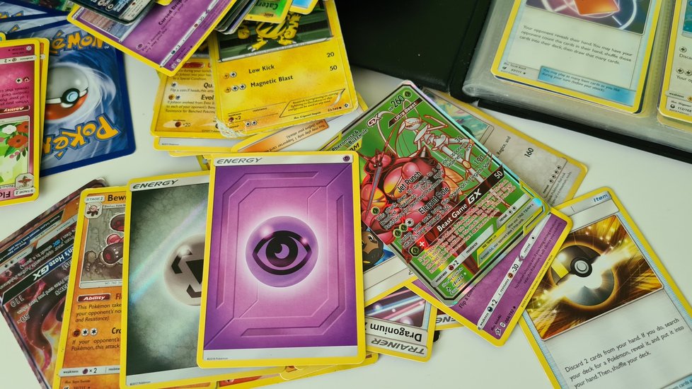 Osmiletý chlapec se kvůli záchraně psa vzdal své sbírky karet Pokémonů, veřejnost přispěla více než 23 tisíc dolarů