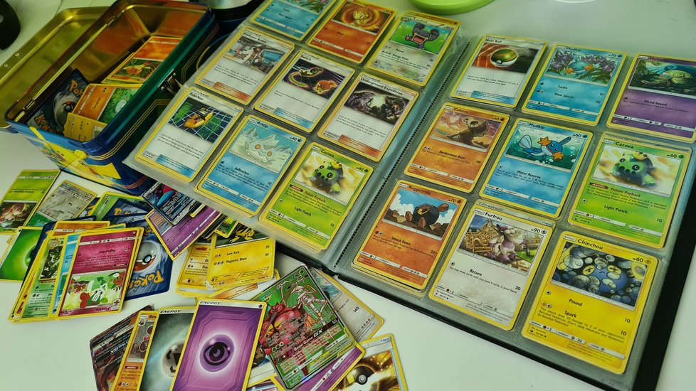 Osmiletý chlapec se kvůli záchraně psa vzdal své sbírky karet Pokémonů, veřejnost přispěla více než 23 tisíc dolarů