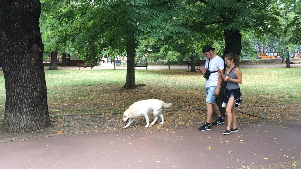 Hledače pokémonu poznáte snadno - jdou a jen koukají do mobilu.