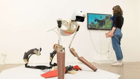 Konstrukce kozy, ve které mladík běhal po pastvinách.