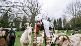 Našel si mezi kozami kamarádku.