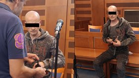Podle soudu Polák zavinil družčinu smrt.