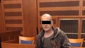 Podle soudu Polák zavinil družčinu smrt.