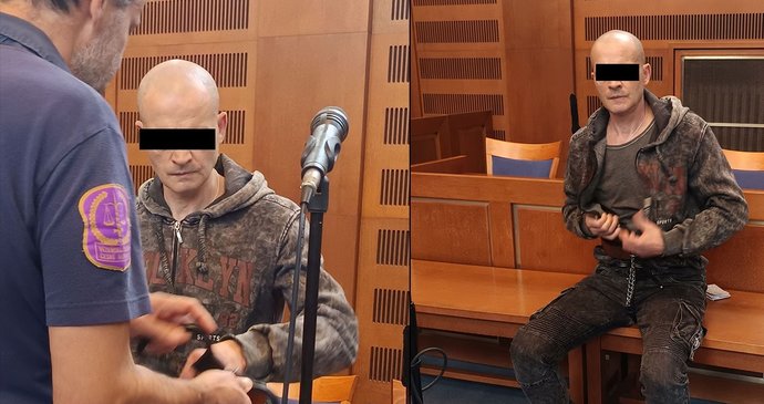 Podle soudu Polák zavinil družčinu smrt.