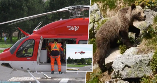 Další útok medvěda na Slovensku: Pro dva zraněné turisty musel letět vrtulník!