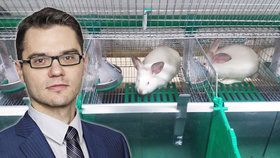 Český europoslanec „zklamal“: Ani 600 tisíc podpisů nedostalo králíky z klecí