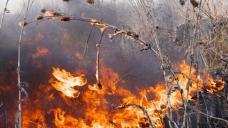 Klimatická krize v peněženkách. Za oběd i pojistku platíme daň z horka Klimatická krize v peněženkách. Za oběd i pojistku platíme daň z horka