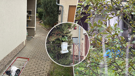 Středočeští kriminalisté řeší násilnou smrt 68leté ženy. Podezřelého zadrželi.